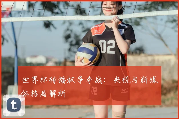世界杯转播权争夺战:央视与新媒体格局解析