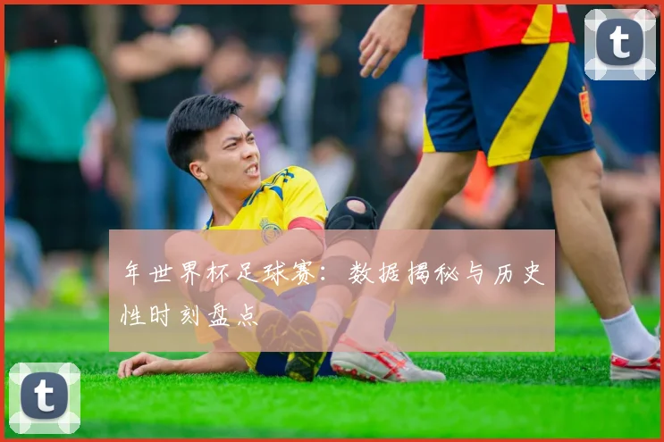 年世界杯足球赛：数据揭秘与历史性时刻盘点