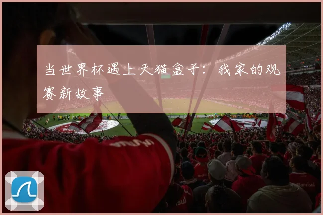 当世界杯遇上天猫盒子：我家的观赛新故事