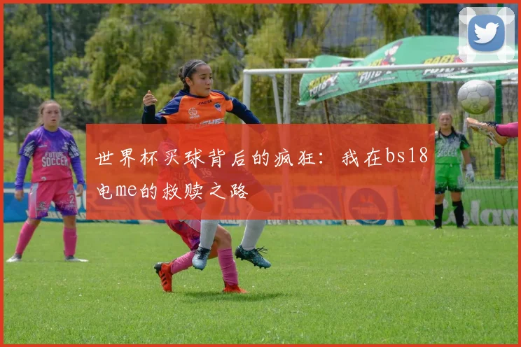世界杯买球背后的疯狂：我在bs18电me的救赎之路