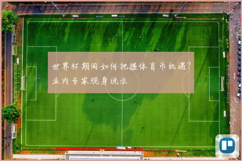 世界杯期间如何把握体育币机遇？业内专家现身说法