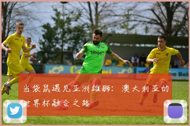 当袋鼠遇见亚洲雄狮：澳大利亚的世界杯融合之路
