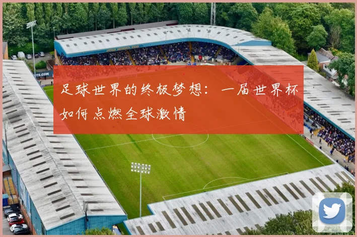 足球世界的终极梦想：一届世界杯如何点燃全球激情